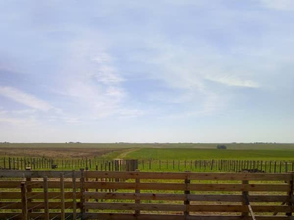 Imagen 4
